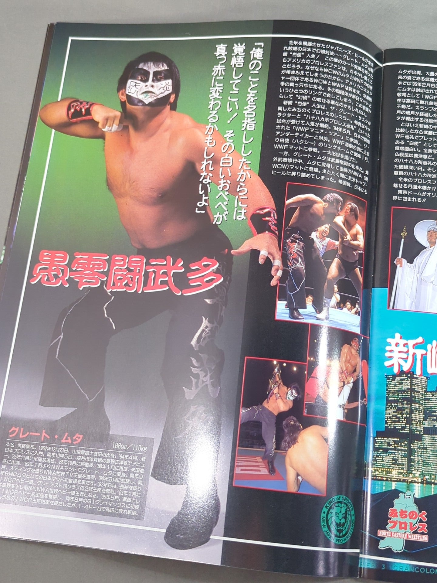 ★高田vs橋本、ムタvs白使★ BATTLE FORMATION ’96