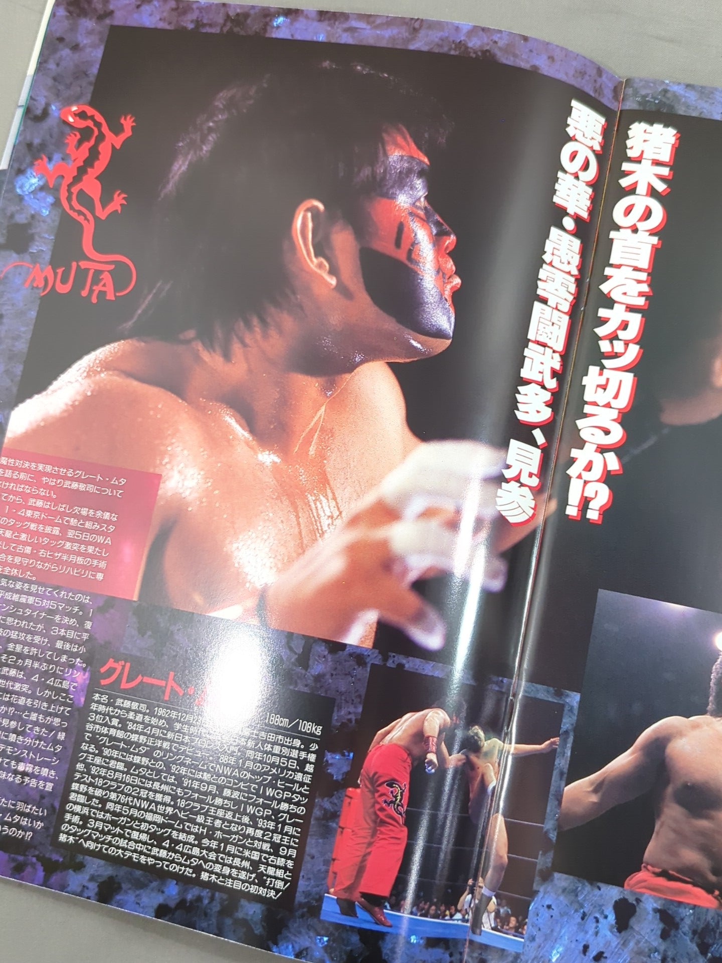 ☆猪木vsムタ☆ 94WRESTLING DONTAKU in FUKUOKA DOME – 闘道館