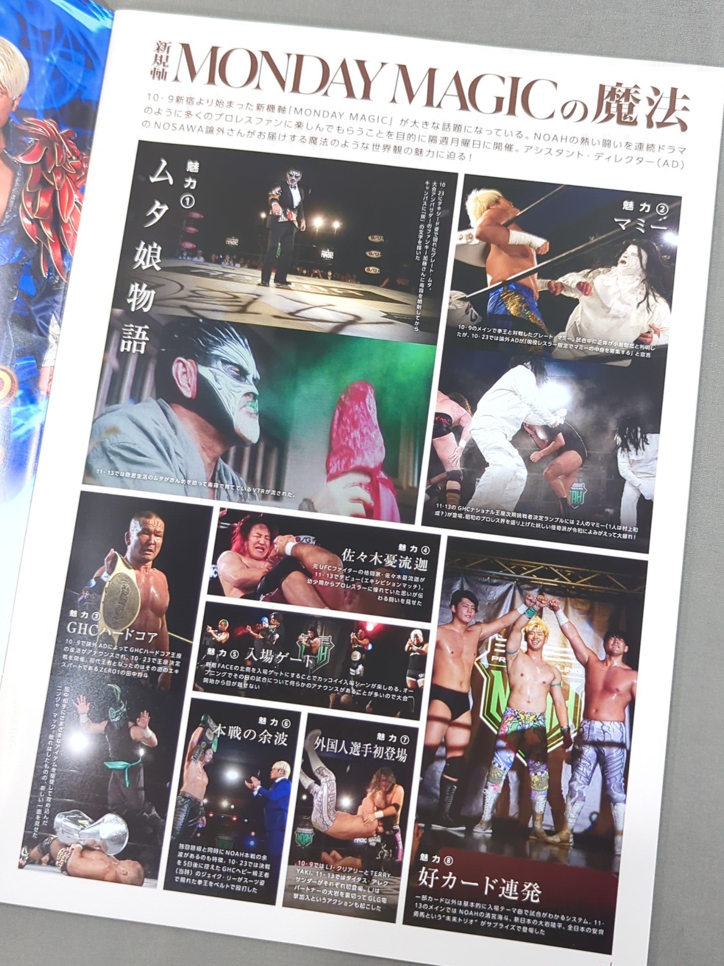 2023 OFFICIAL GUIDE BOOK vol.14