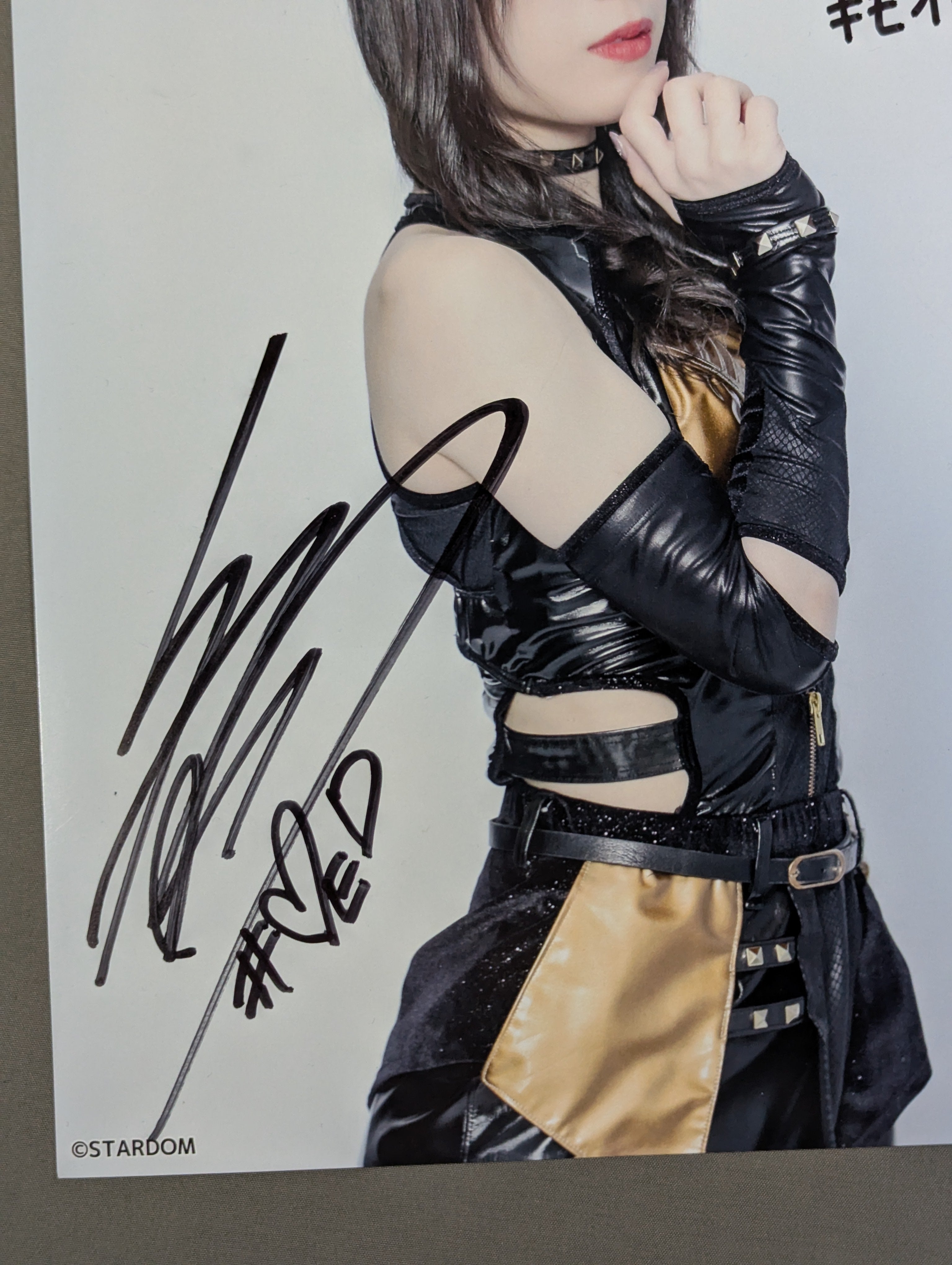 スターダム 鹿島沙希 直筆サイン & キスマーク入り 写真集 EMBLEM スターダム 鹿島沙希 直筆サイン入り写真集 EMBLEM SAKI KASHIMA