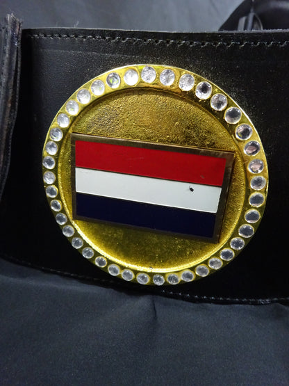 WWF認定世界マーシャルアーツヘビー級王座チャンピオンベルト