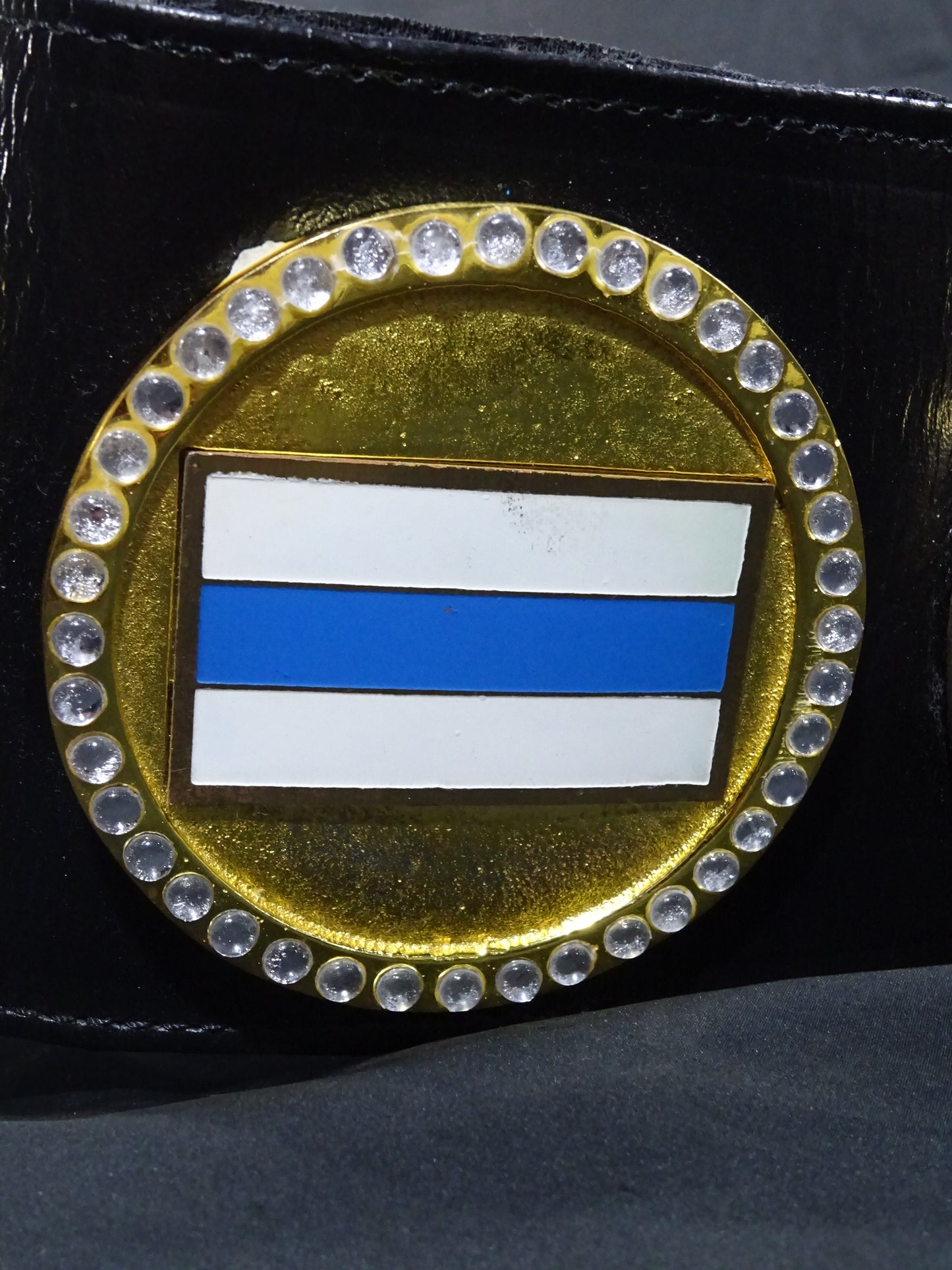 WWF認定世界マーシャルアーツヘビー級王座チャンピオンベルト