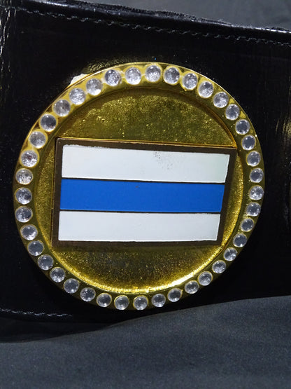 WWF認定世界マーシャルアーツヘビー級王座チャンピオンベルト