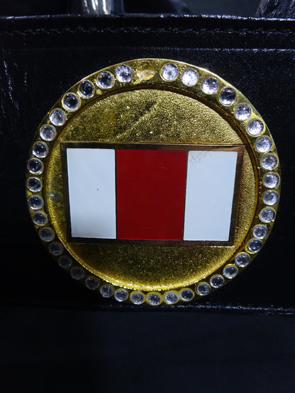 WWF認定世界マーシャルアーツヘビー級王座チャンピオンベルト