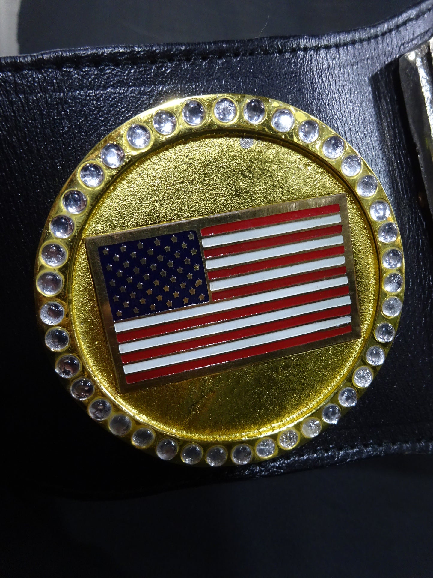 WWF認定世界マーシャルアーツヘビー級王座チャンピオンベルト