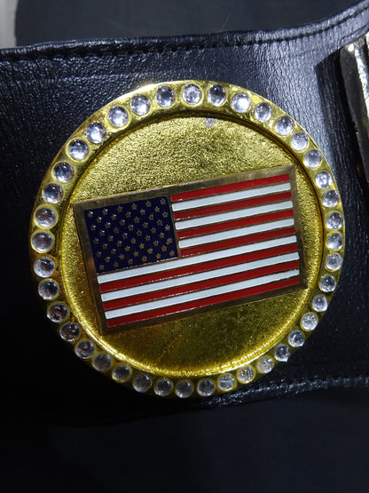 WWF認定世界マーシャルアーツヘビー級王座チャンピオンベルト