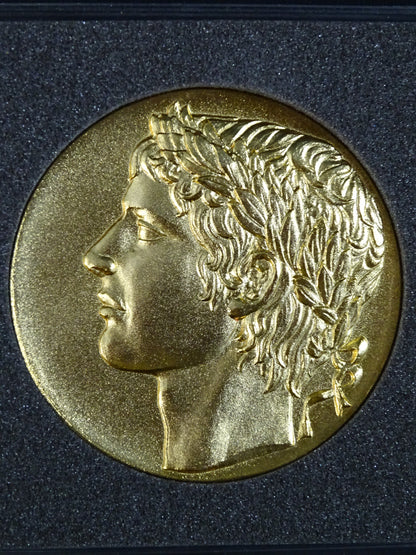 夢のオールスター戦 参加記念メダル