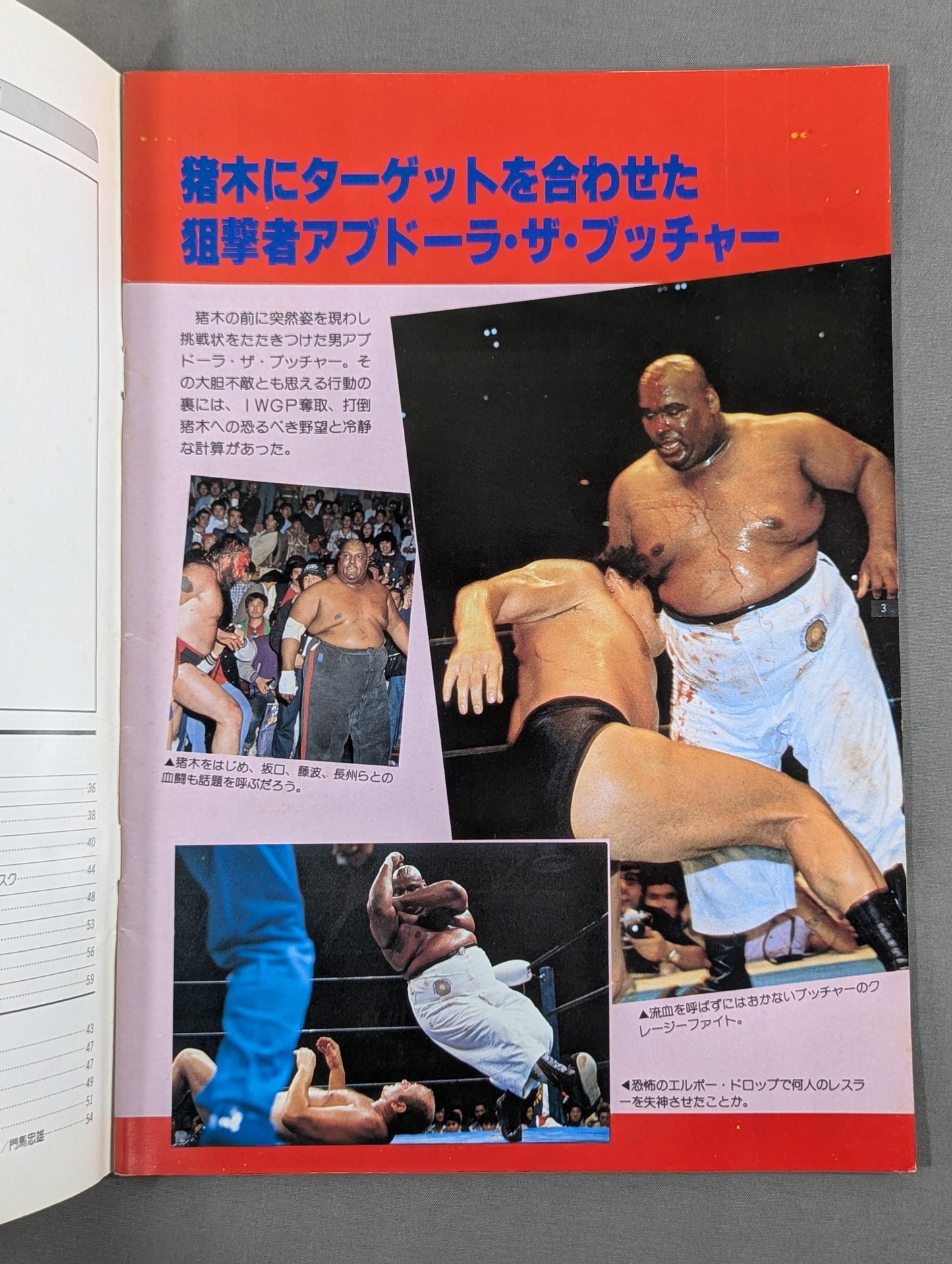 THE WRESTLER サマーファイトシリーズ Vol.2
