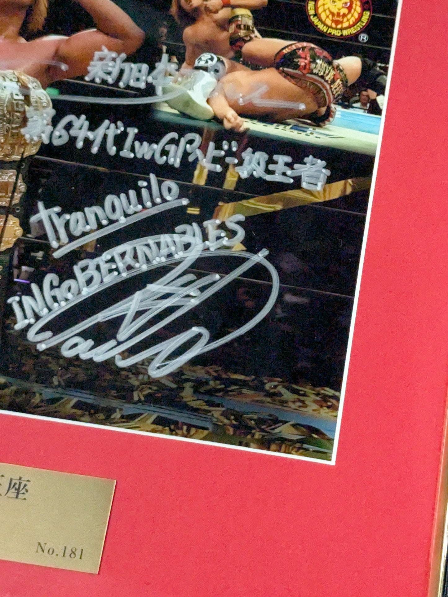 ★IWGP初戴冠★ 内藤哲也 第64代IWGPヘビー級王座記念 直筆サイン入り フォトフレーム