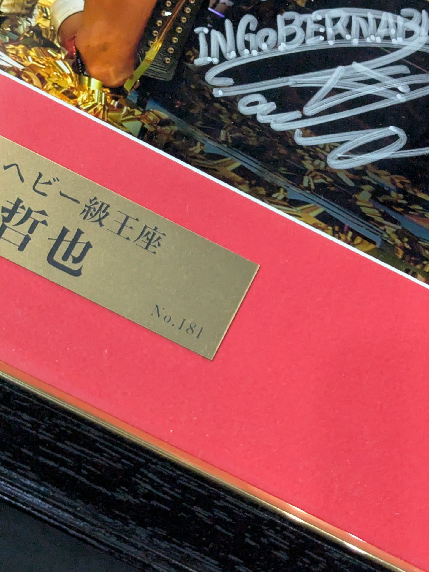 ★IWGP初戴冠★ 内藤哲也 第64代IWGPヘビー級王座記念 直筆サイン入り フォトフレーム