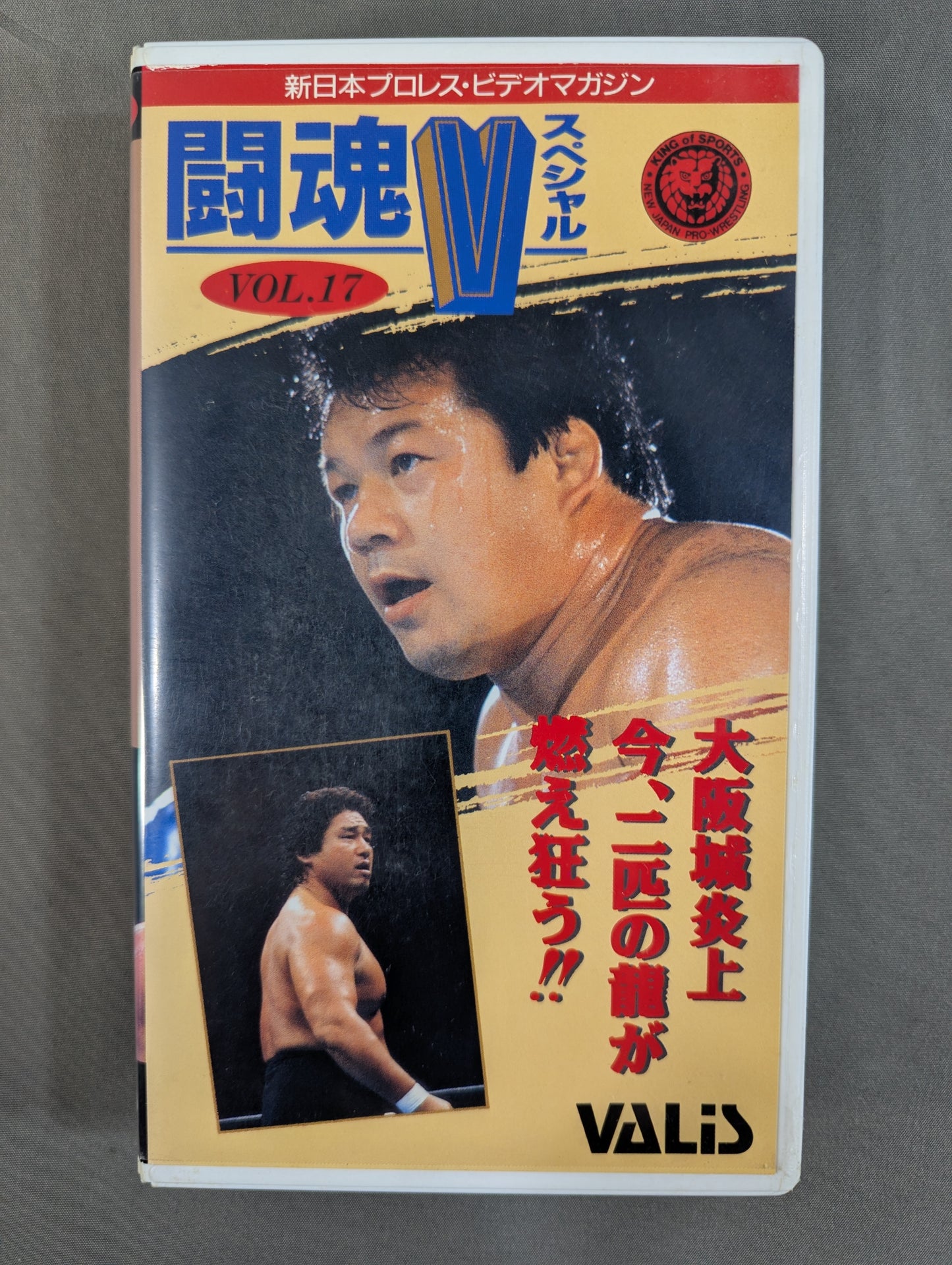 Fighting Spirit V Special Vol.17