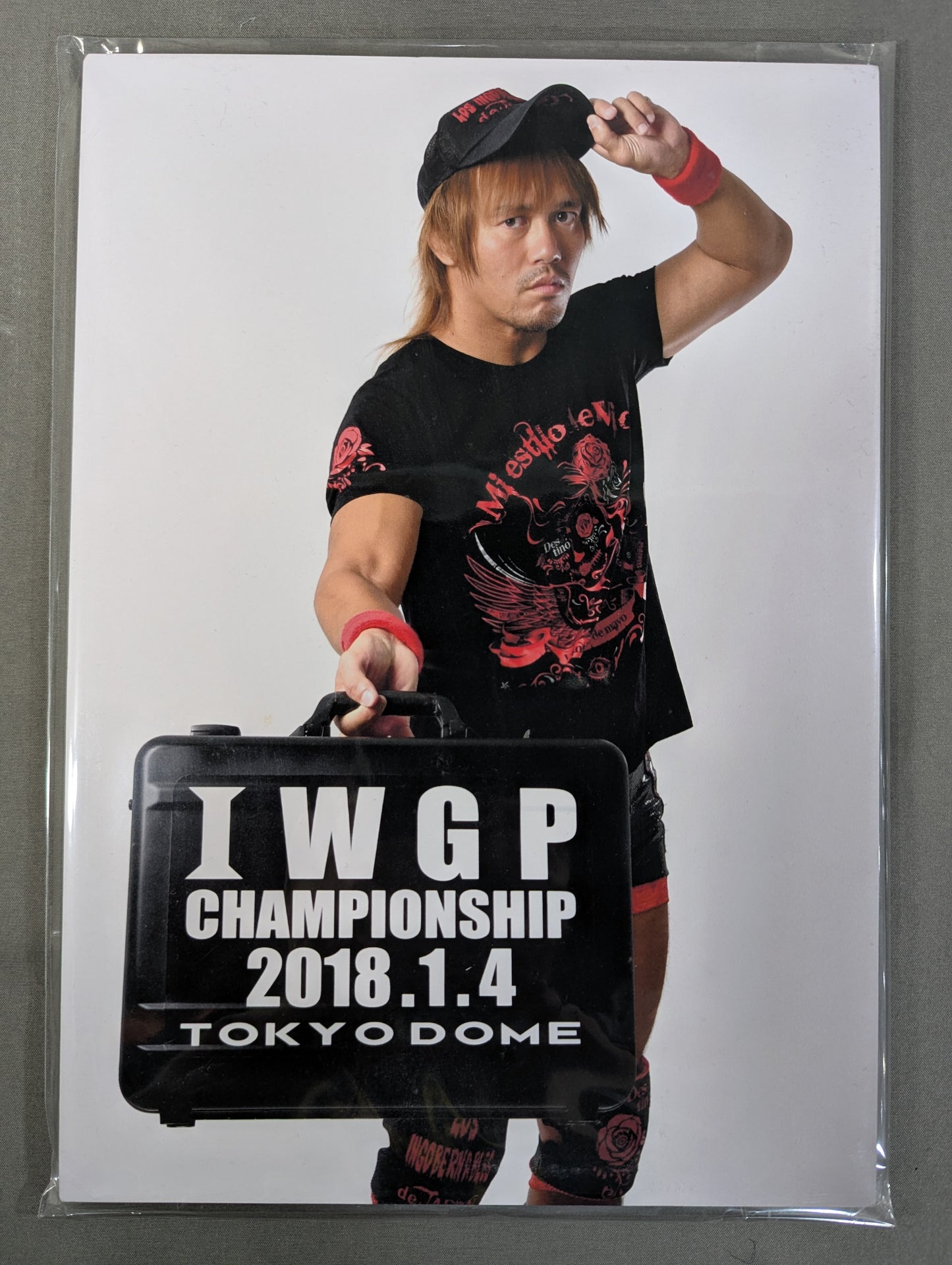 Tetsuya Naito Special A4 Panel (1)