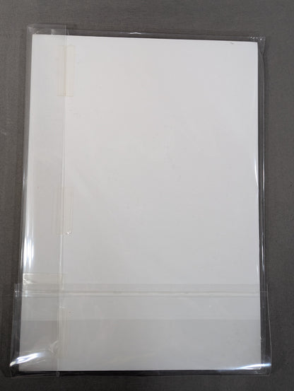 Tetsuya Naito Special A4 Panel (1)