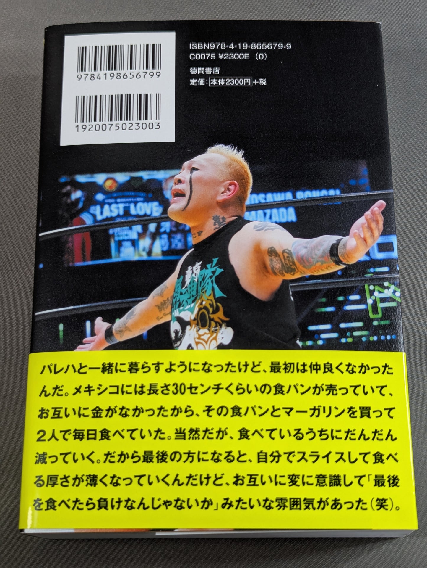 プロレス現地採用 なぜ屋台村から東京ドームに辿り着けたのか? ～VIVA LA VIDA～