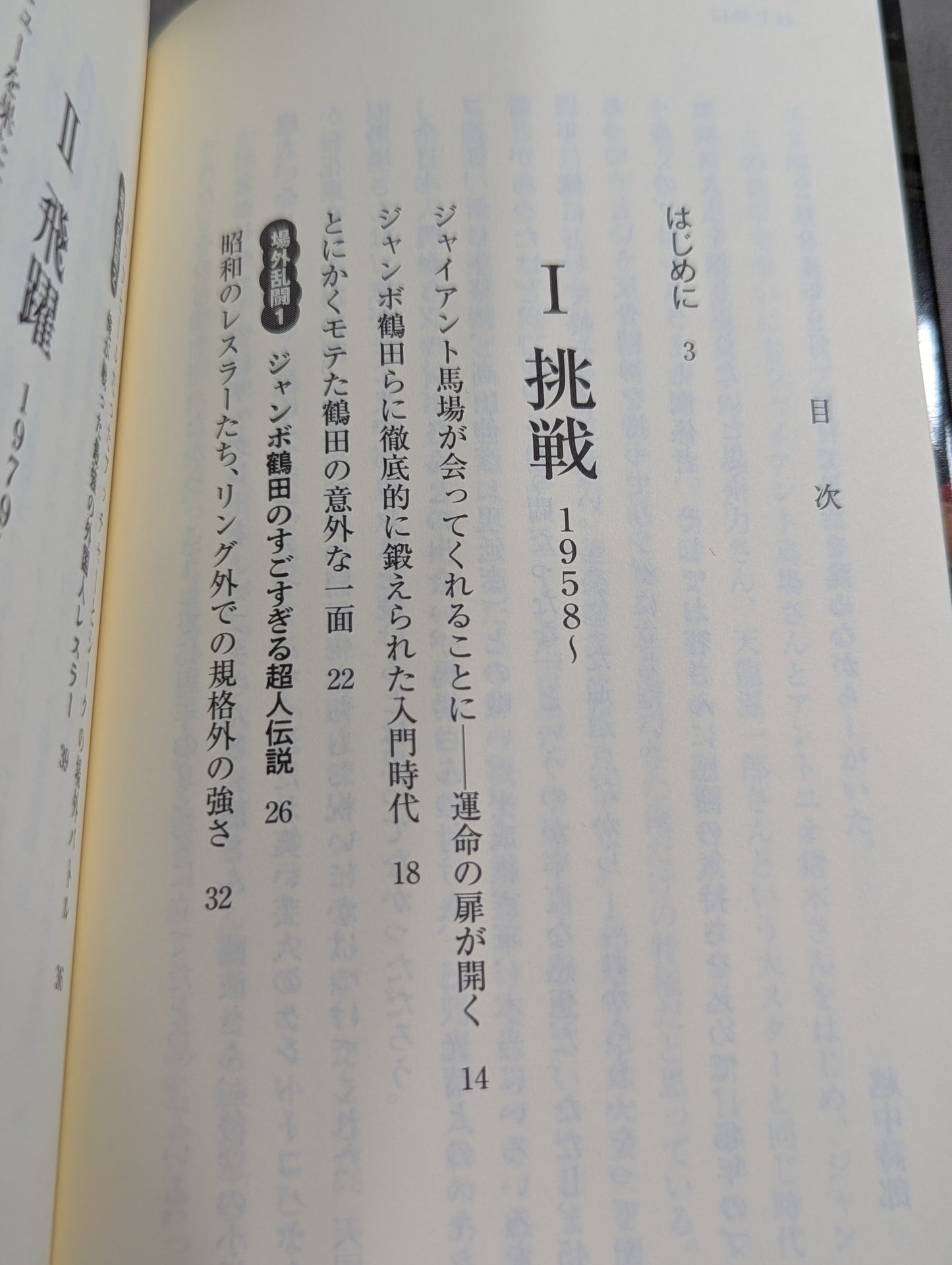 Samurai wrestler's rebellious Pro Wrestling