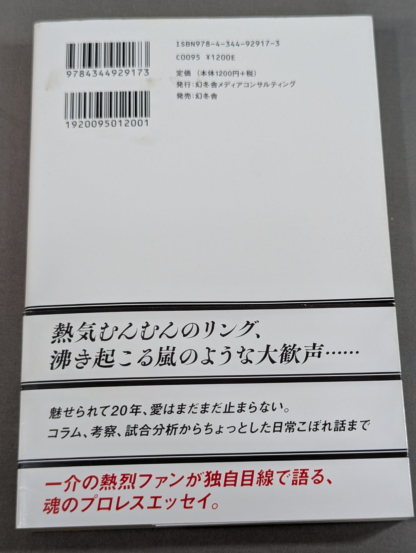 アイディア・プロレスコラムDX(デラックス)