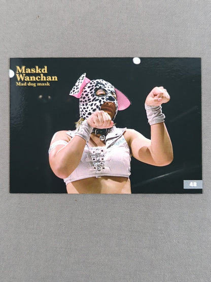 2018 STARDOM COLLECTION CARD 小波(マスク・ド・ワンチャン) 公式サインカード