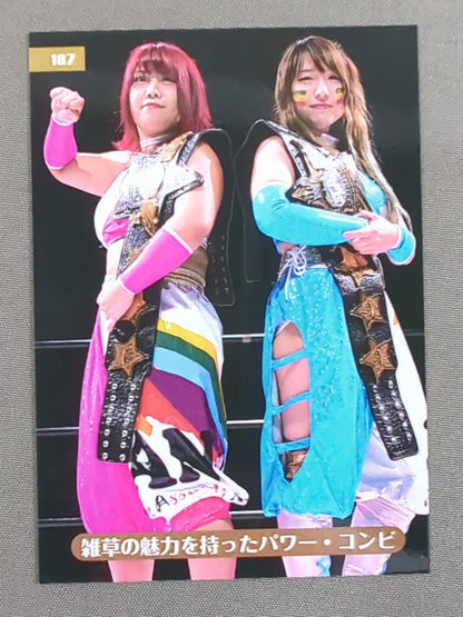 2019 STARDOM COLLECTION CARD ジャングル叫女＆刀羅ナツコ 公式サインカード(187)