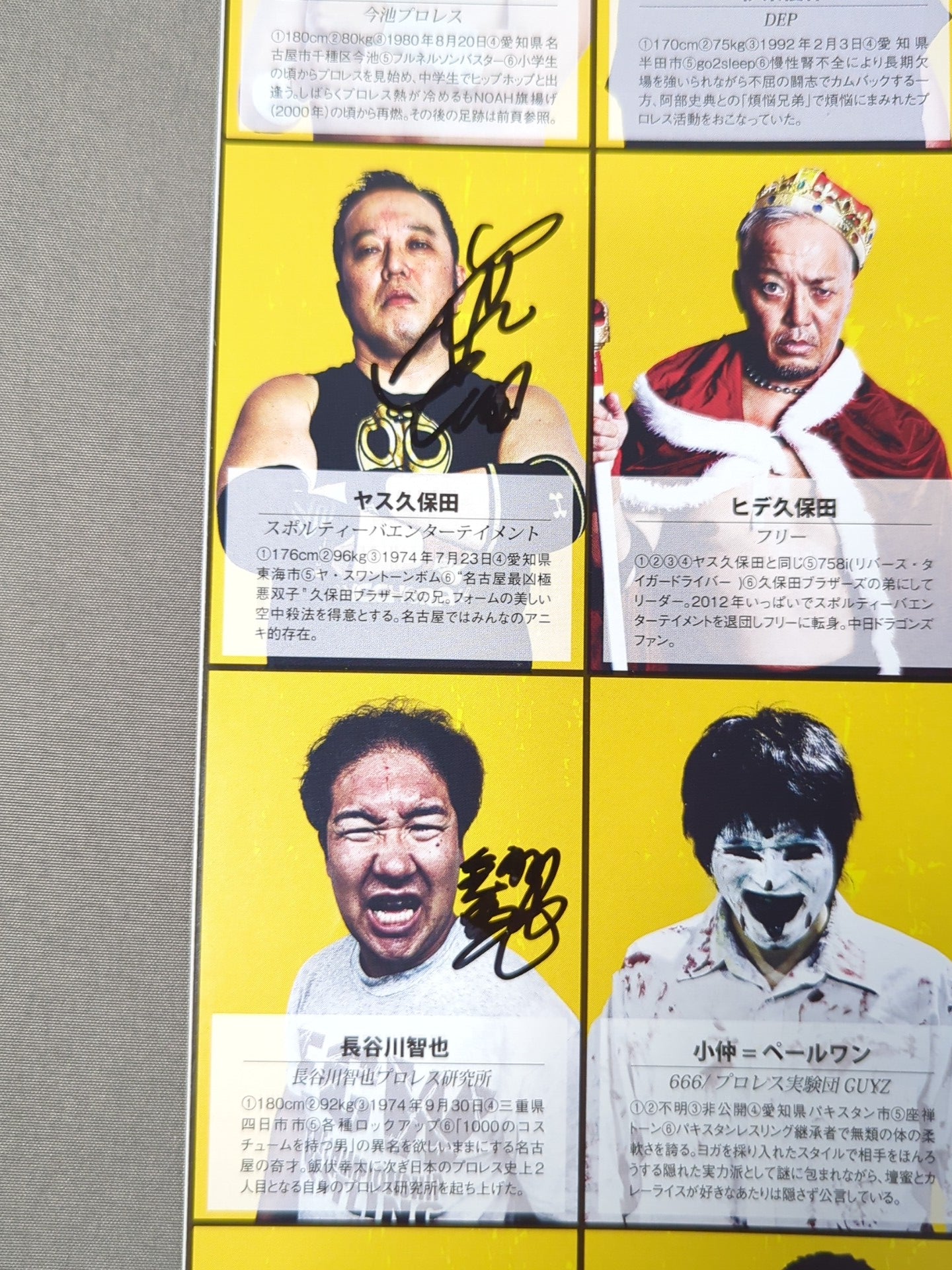 3選手直筆サイン入り】愛プロレス博2018 ～紡ぐ～ – 闘道館