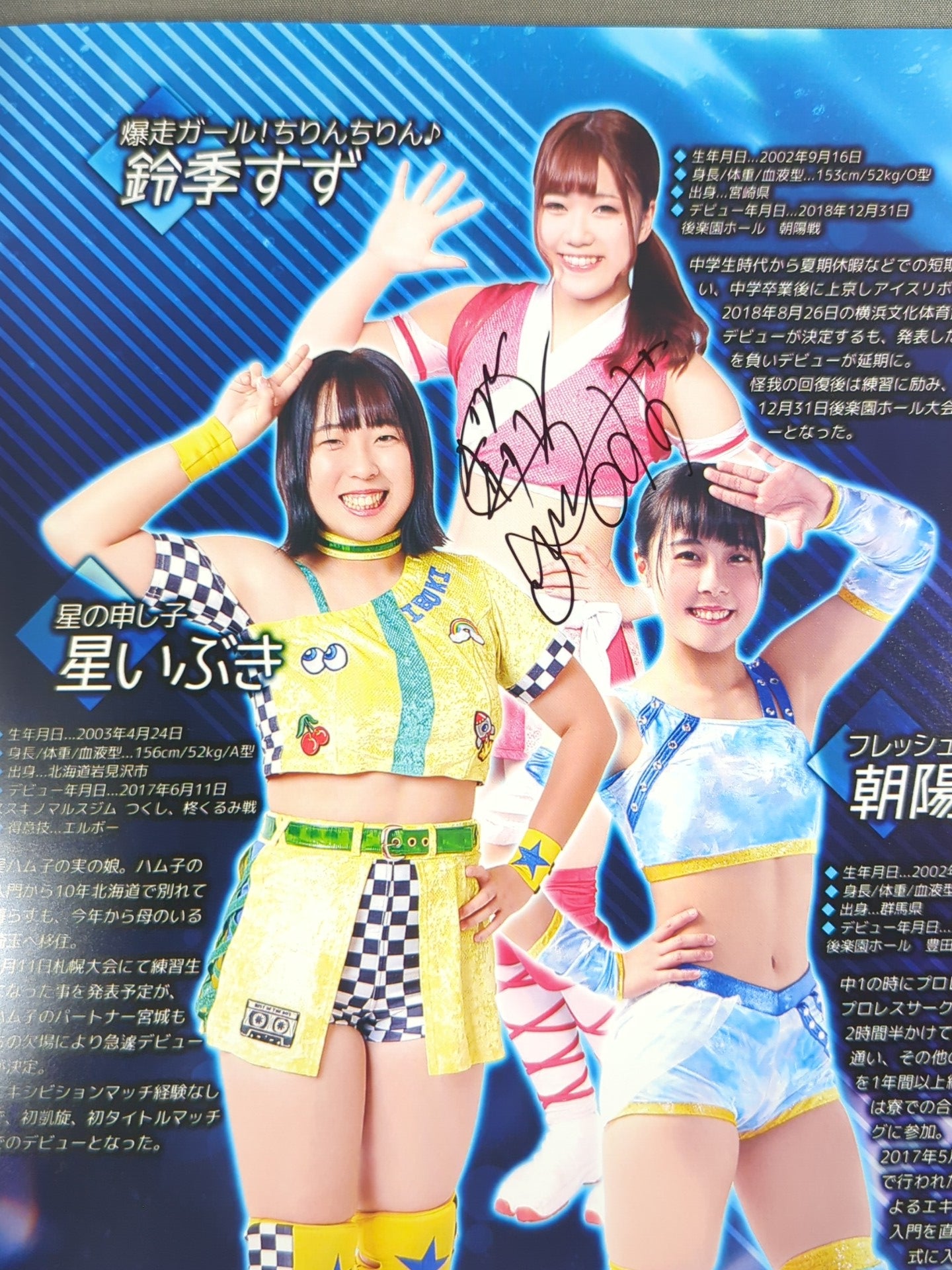 5名直筆サイン入り】アイスリボンパンフレット(2019/12/31) – 闘道館