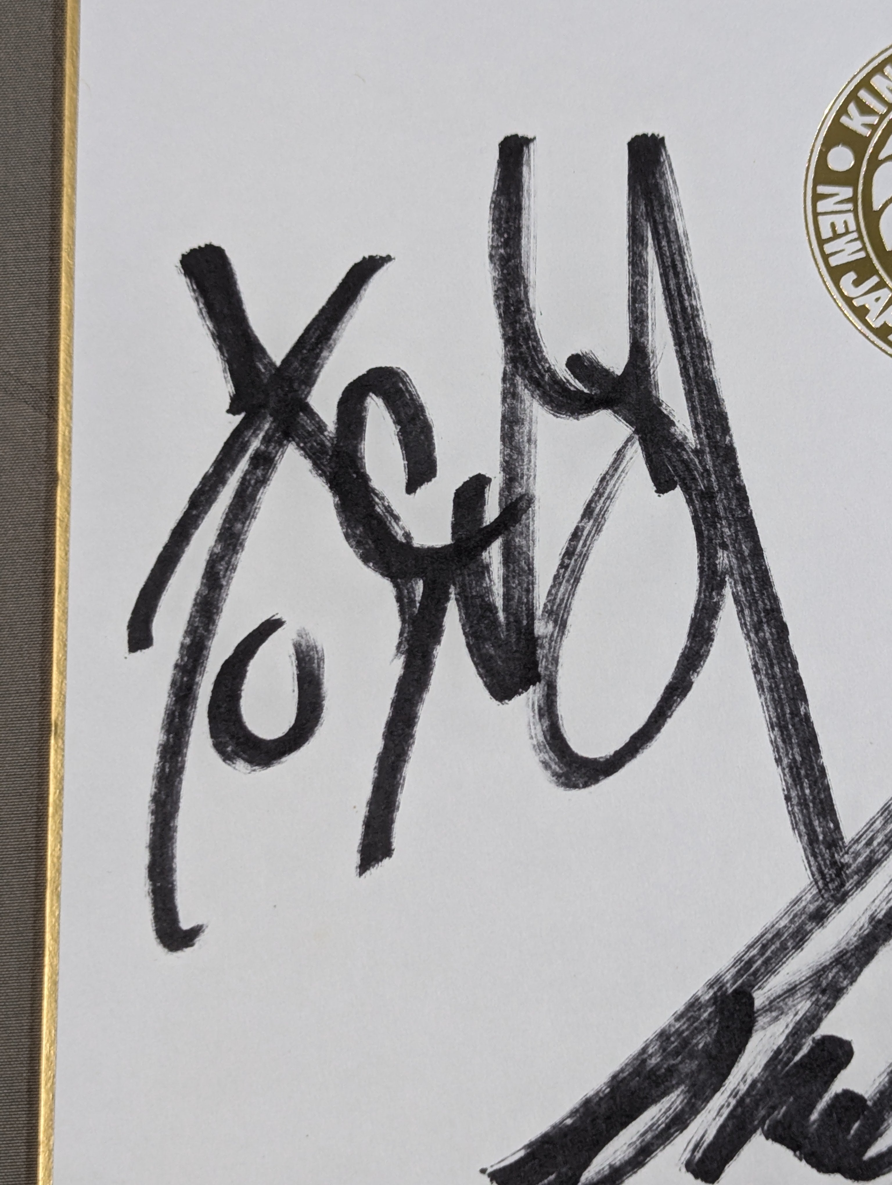 新日本プロレスBULLET CLUB WAR DOGS直筆サイン寄せ書き色紙 大日本プロレス 10選手寄せ書き(BJW専用色紙) – 闘道館
