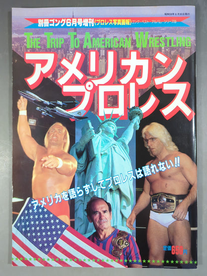 ゴング増刊号 アメリカン・プロレス～ゴング・ベスト・アルバム・シリーズ⑧～