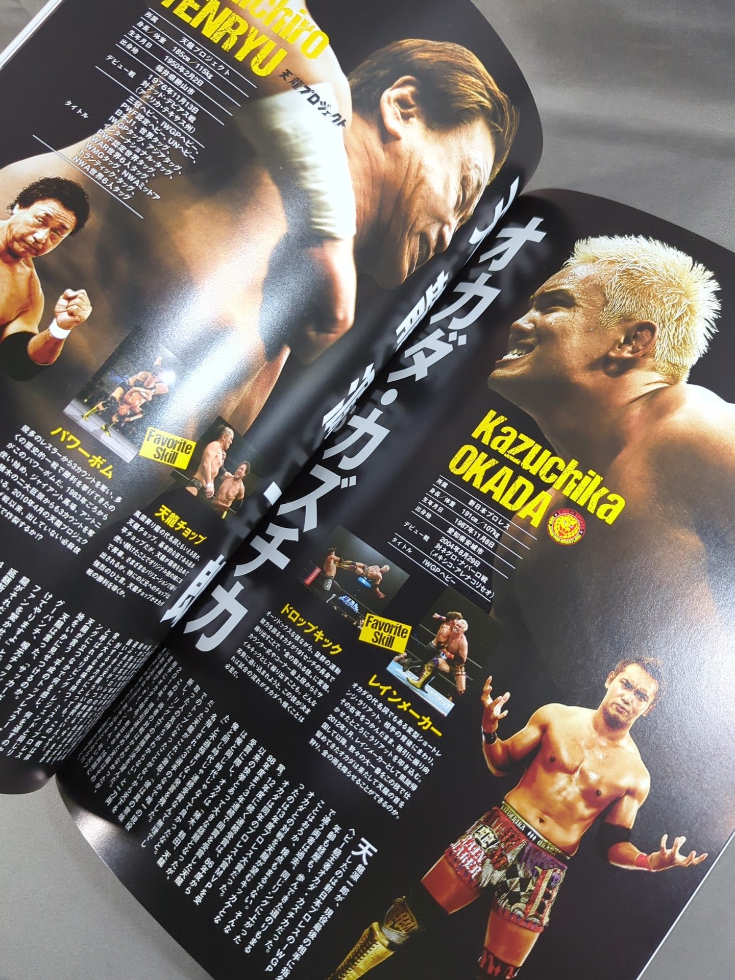★ Tenryu Genichiro  Retirement ★ Revolution FINAL