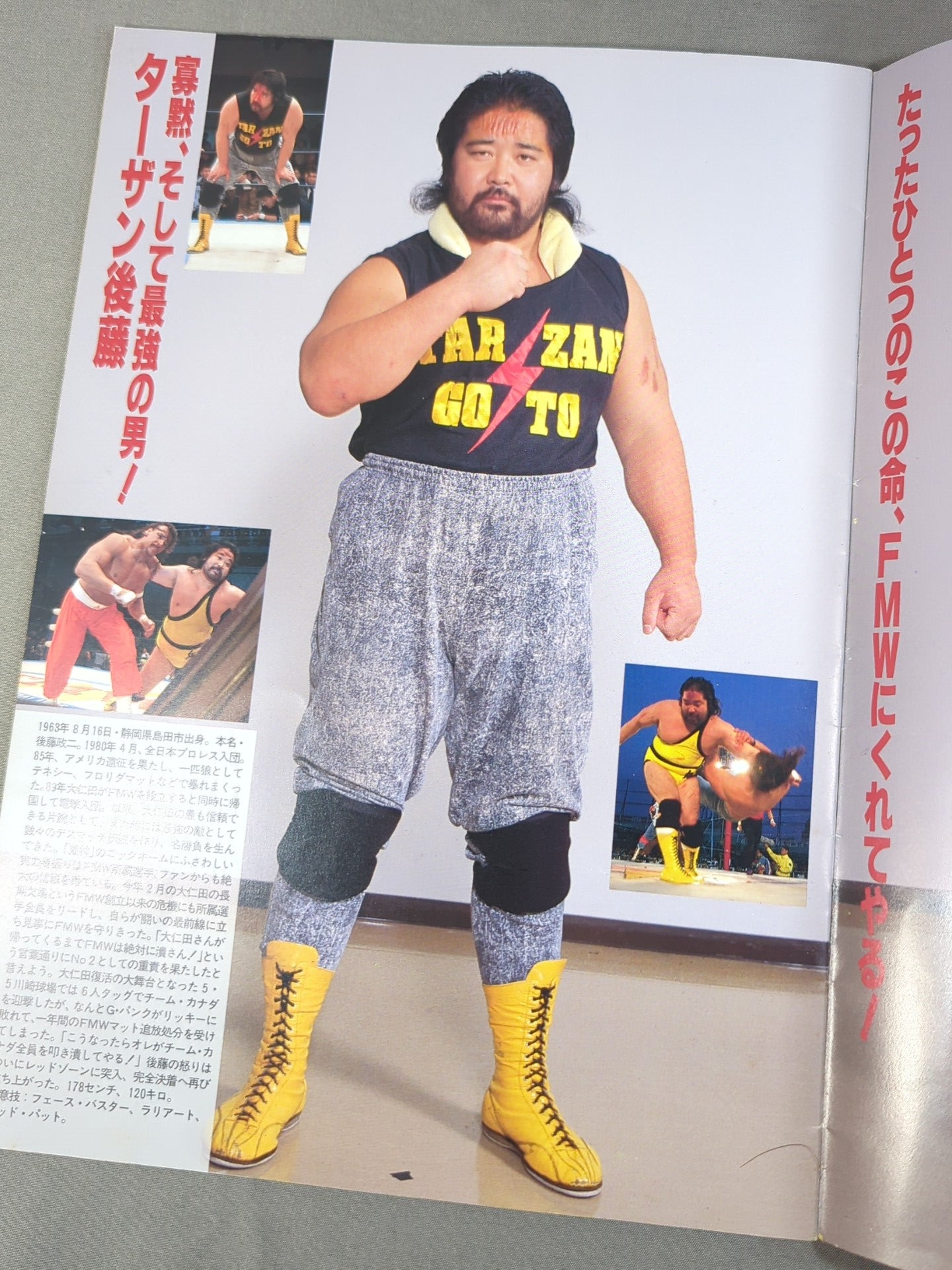 F.M.W. OFFICIAL GUIDE BOOK 1993 vol.4