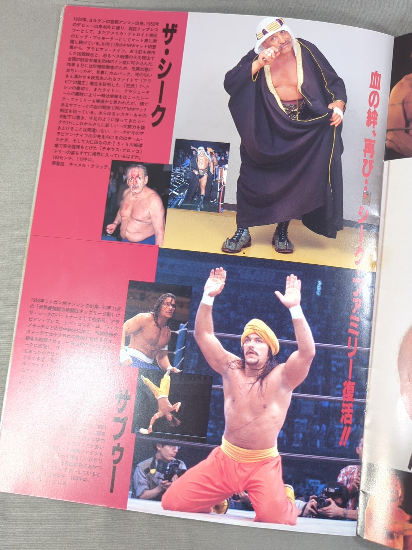 F.M.W. OFFICIAL GUIDE BOOK 1993 vol.4