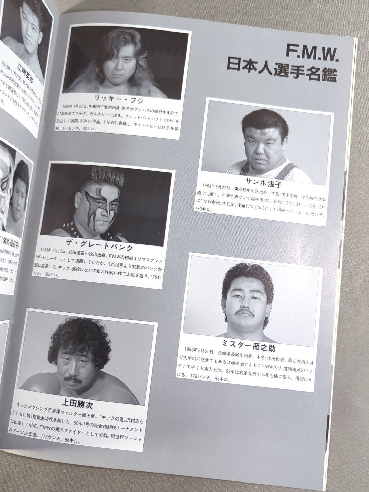 F.M.W. OFFICIAL GUIDE BOOK 1993 Vol.3