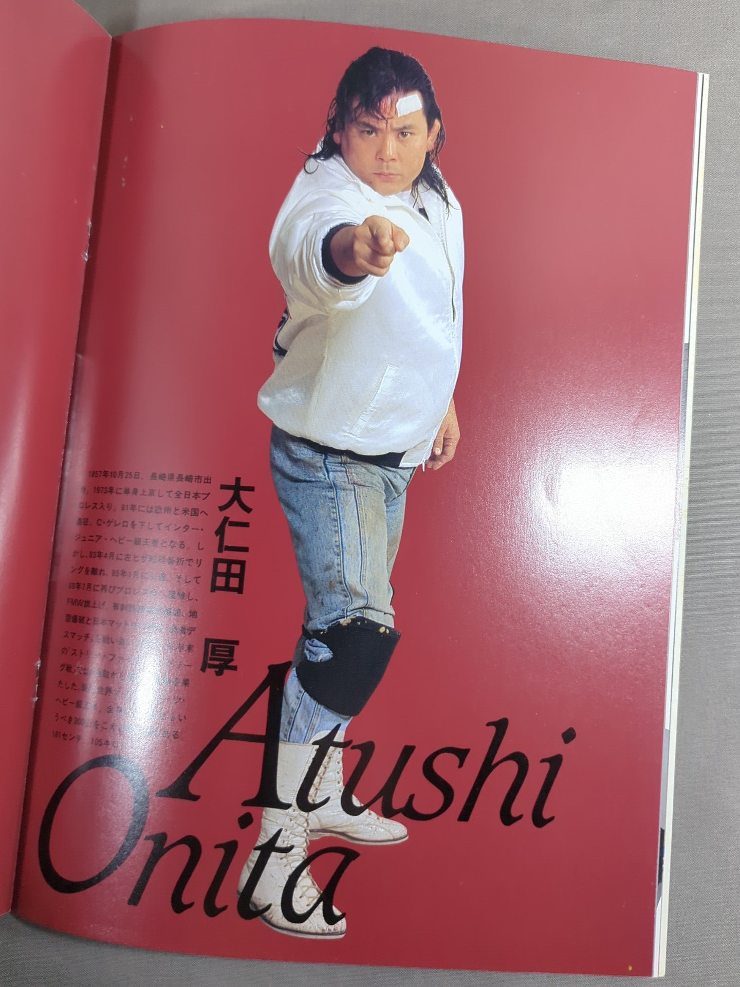 F.M.W. OFFICIAL GUIDE BOOK 1993 Vol.3