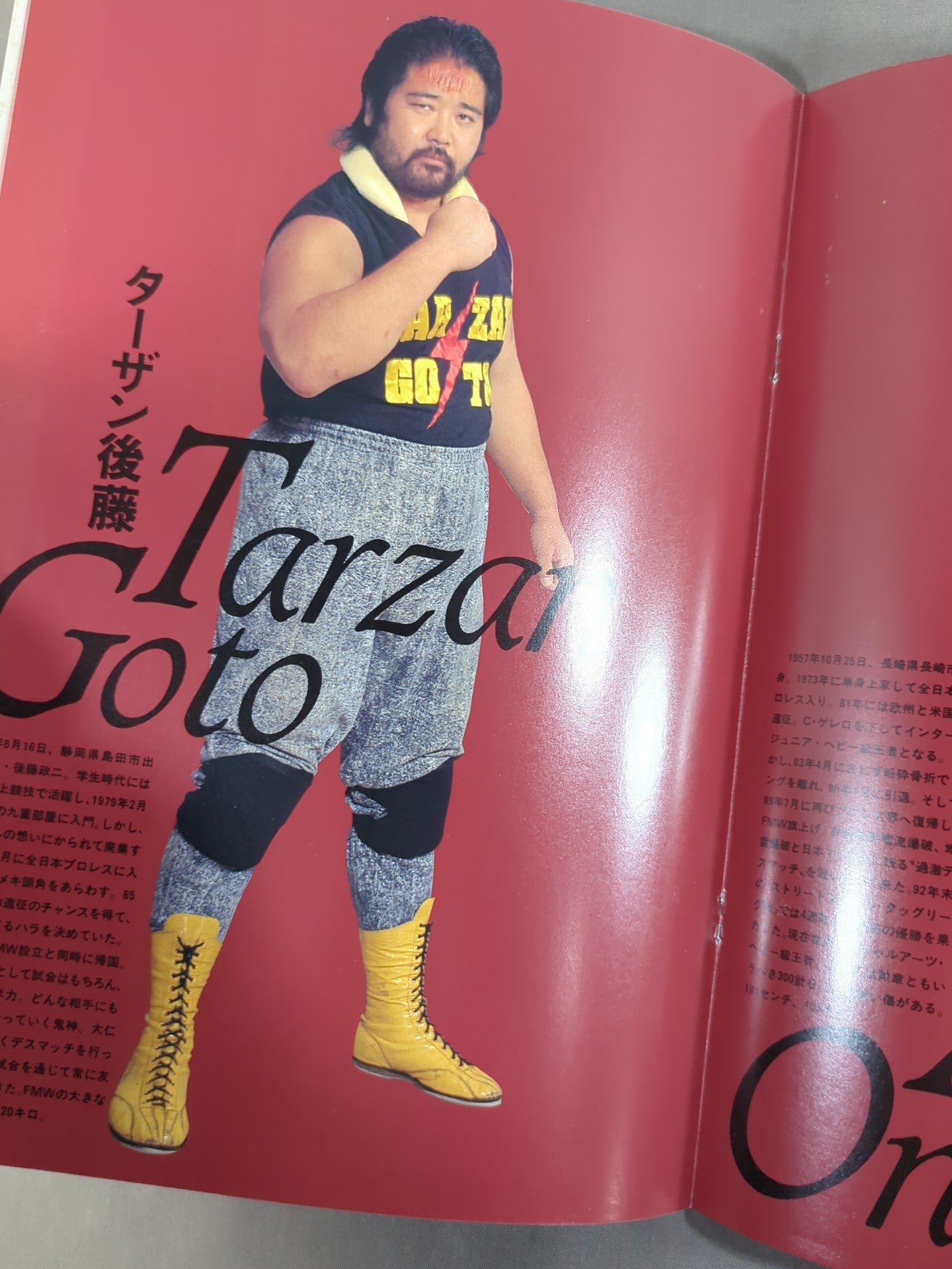 F.M.W. OFFICIAL GUIDE BOOK 1993 Vol.3