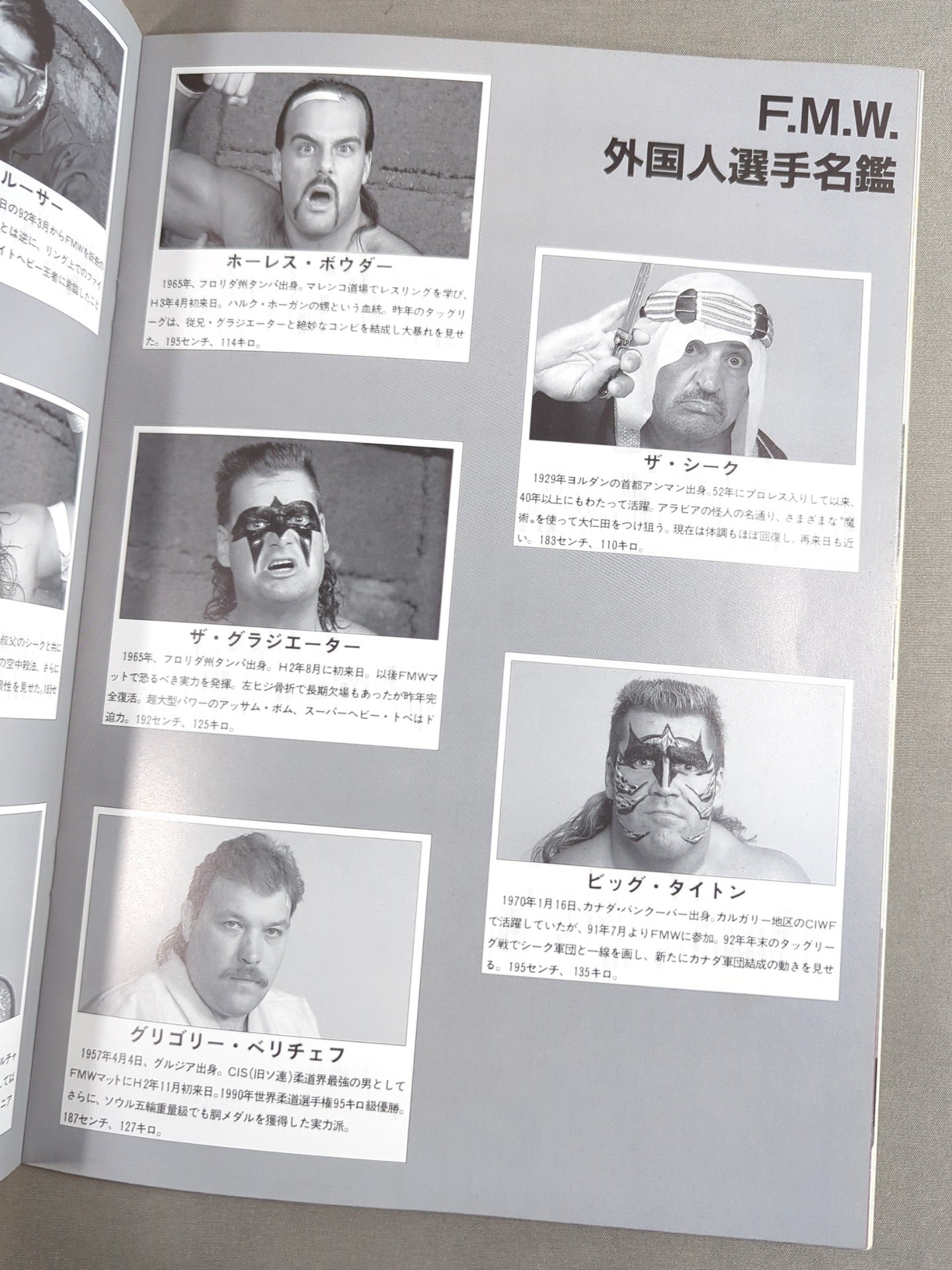 F.M.W. OFFICIAL GUIDE BOOK 1993 Vol.3