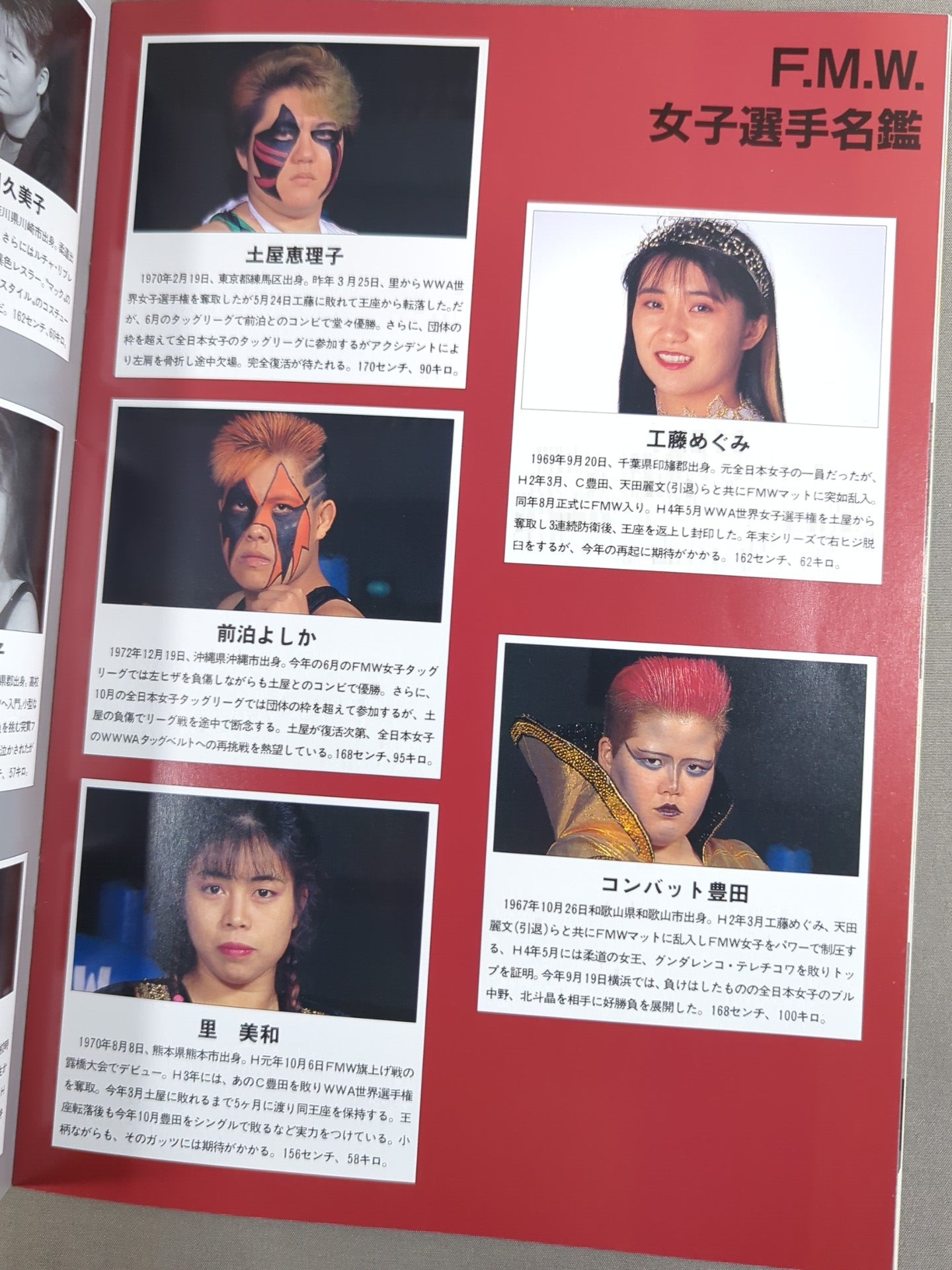 F.M.W. OFFICIAL GUIDE BOOK 1993 Vol.3