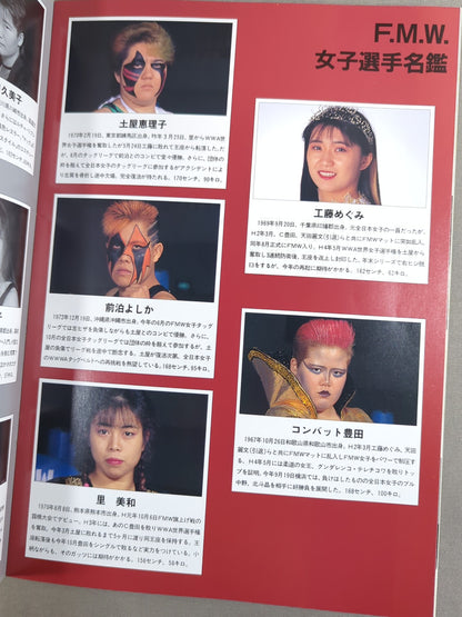 F.M.W. OFFICIAL GUIDE BOOK 1993 Vol.3