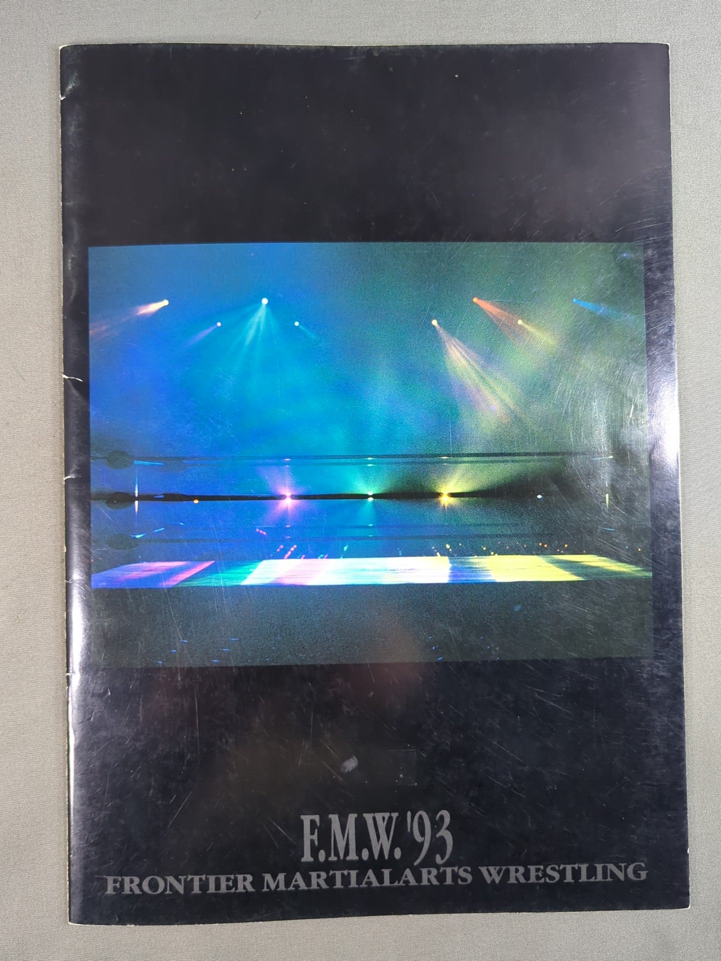 F.M.W. OFFICIAL GUIDE BOOK 1993 Vol.3