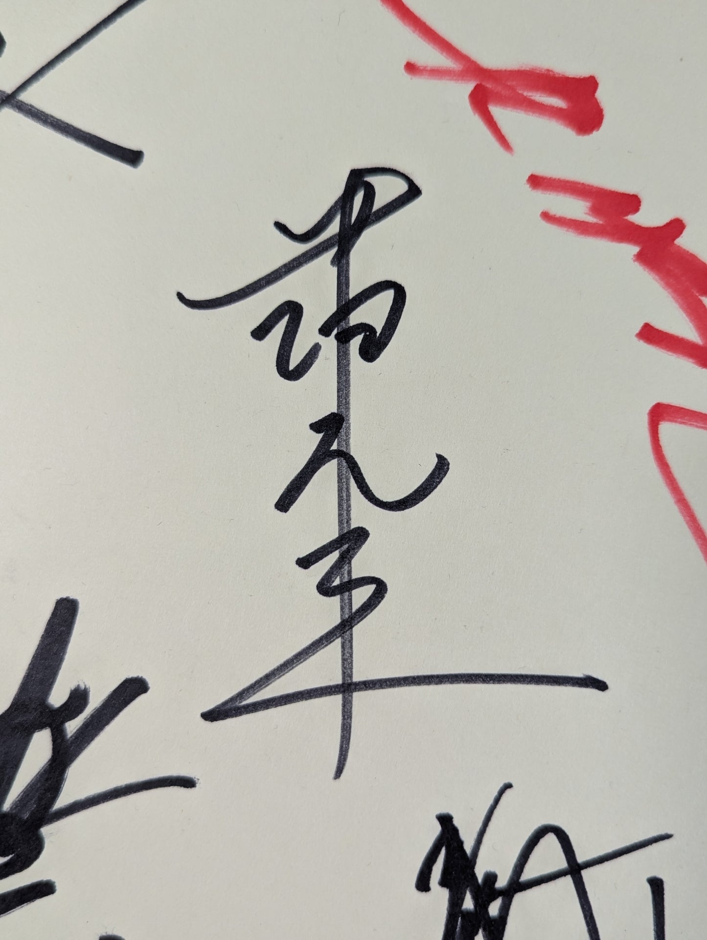 ★ ★ Hybrid Pancrase Flag Raising Member 7 fighters Comments