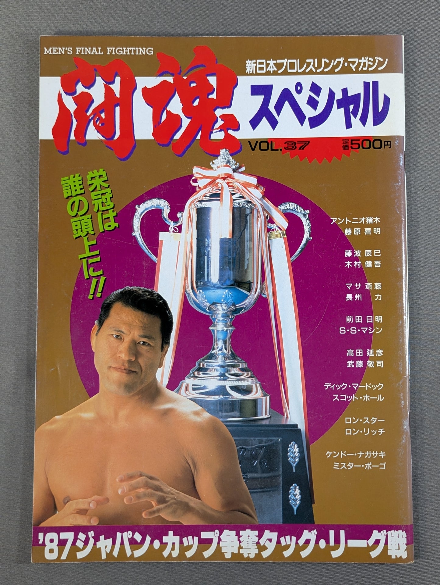 Fighting Spirit Special 37