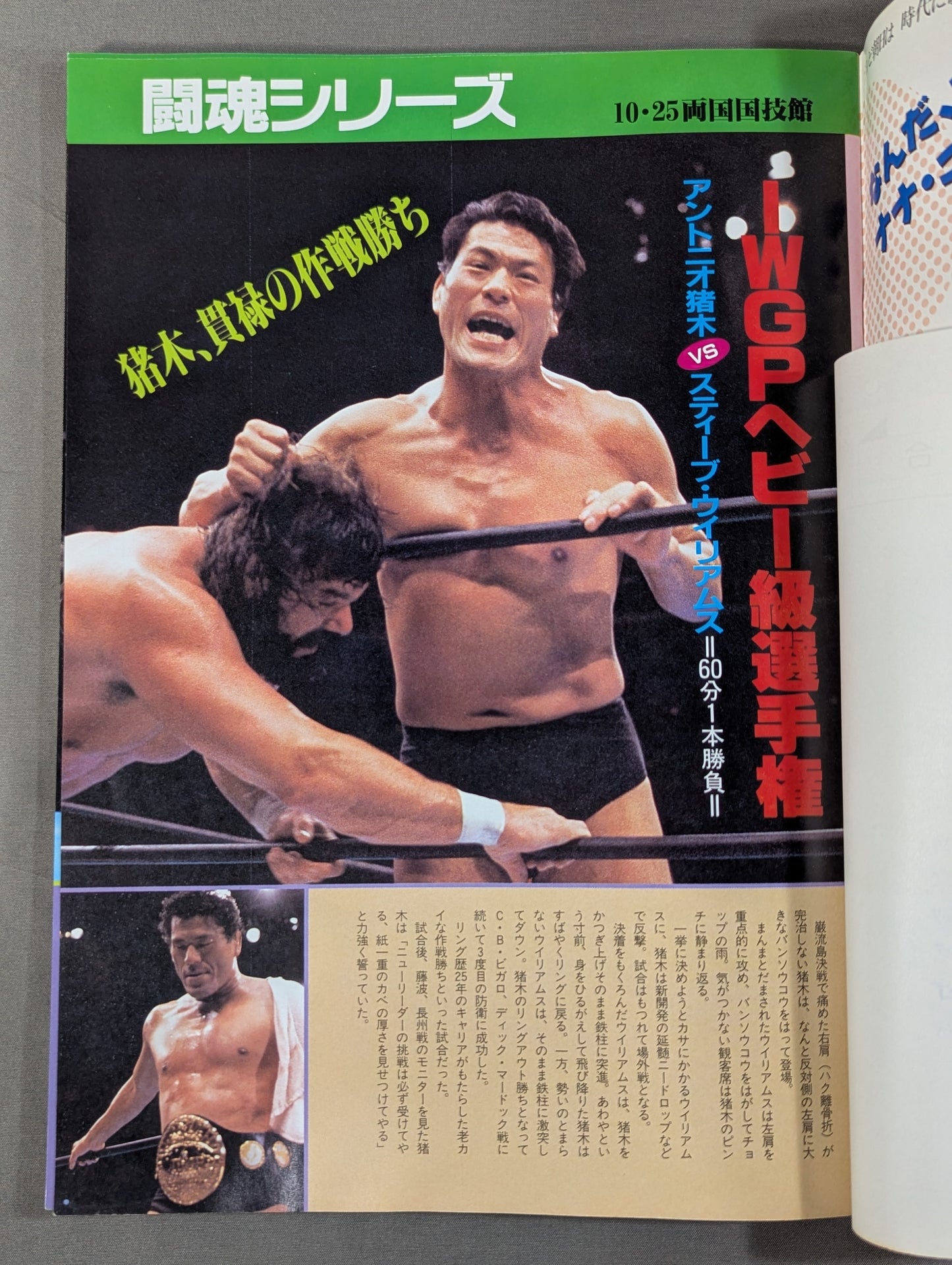 Fighting Spirit Special 37
