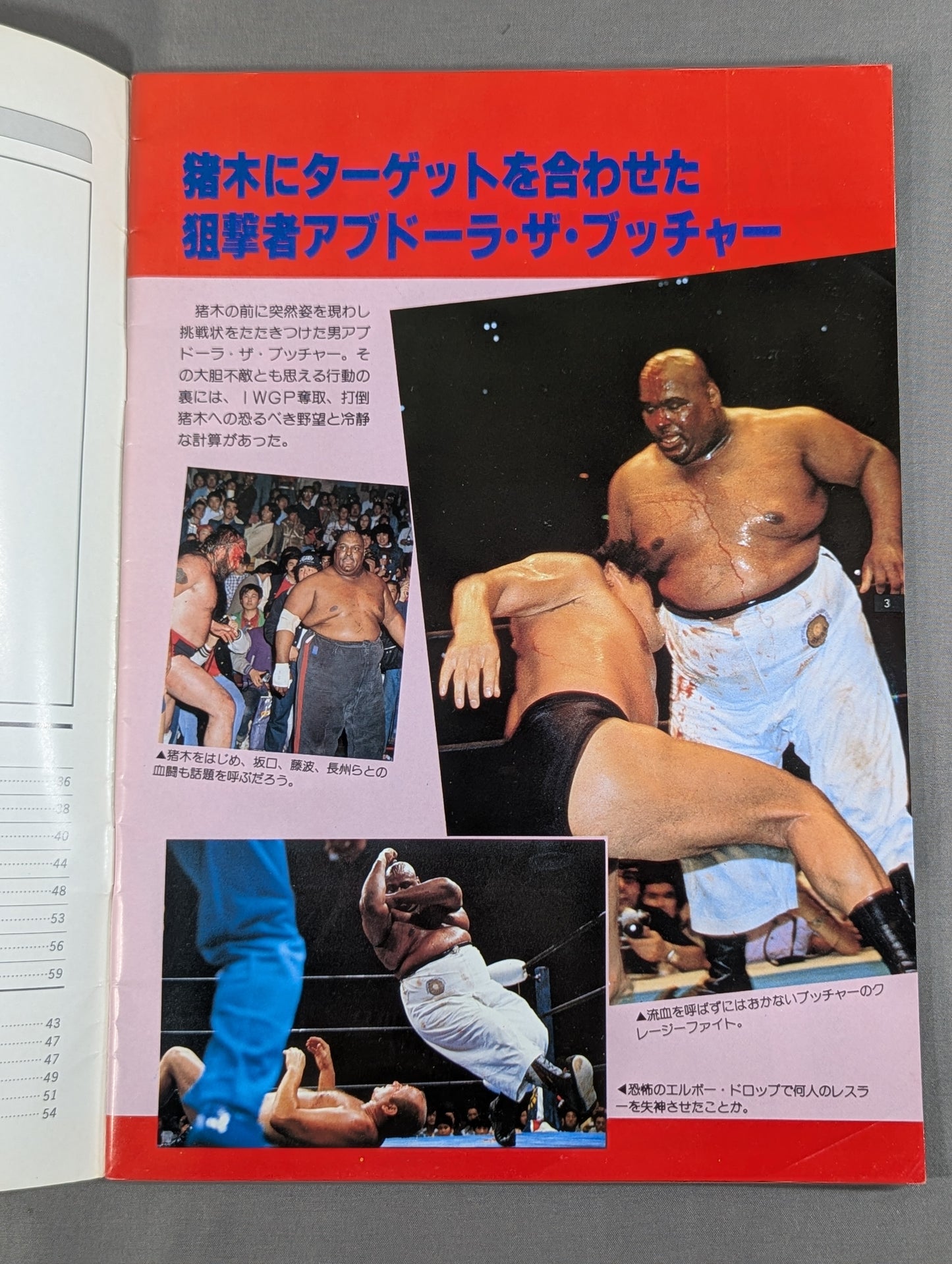 THE WRESTLER サマーファイトシリーズ Vol.2
