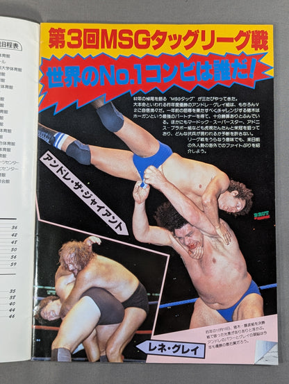 THE WRESTLER The 3rd MSG Tag League Match Vol.13
