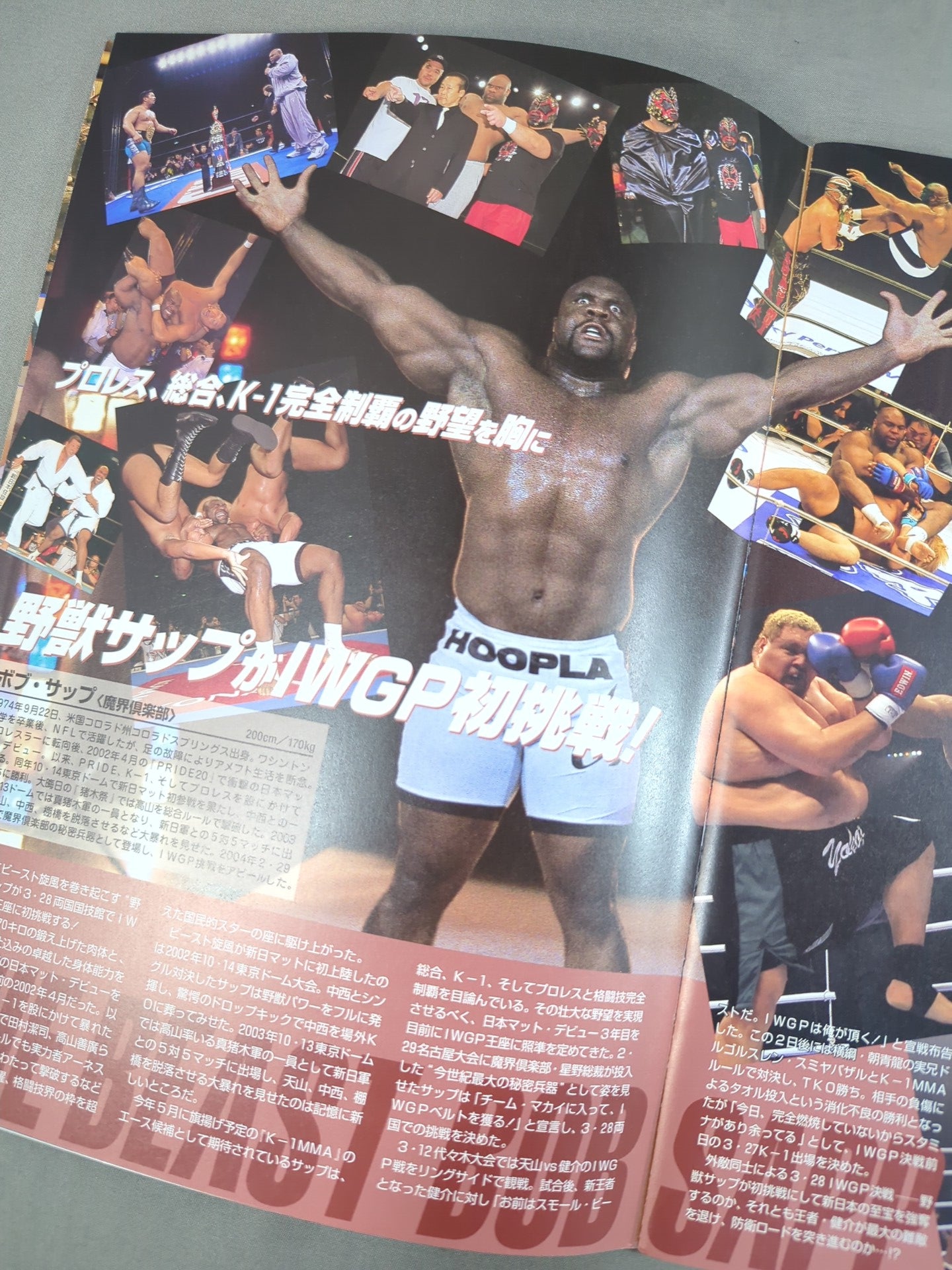 ★ Kensuke vs. Sapp IWGP Fighting ★ Spirit Special PREMIUM ISSUE