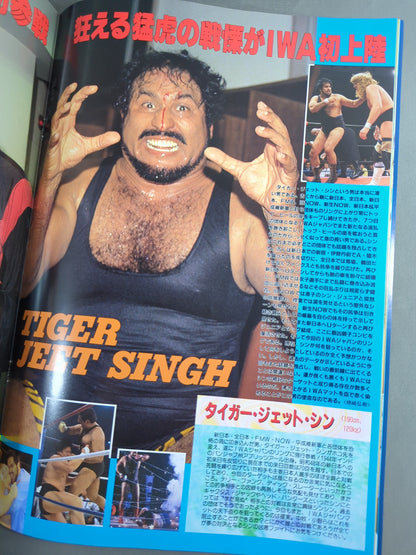 IWA JAPANプロレス / KAWASAKI DREAM ～インディーだって夢を見る～