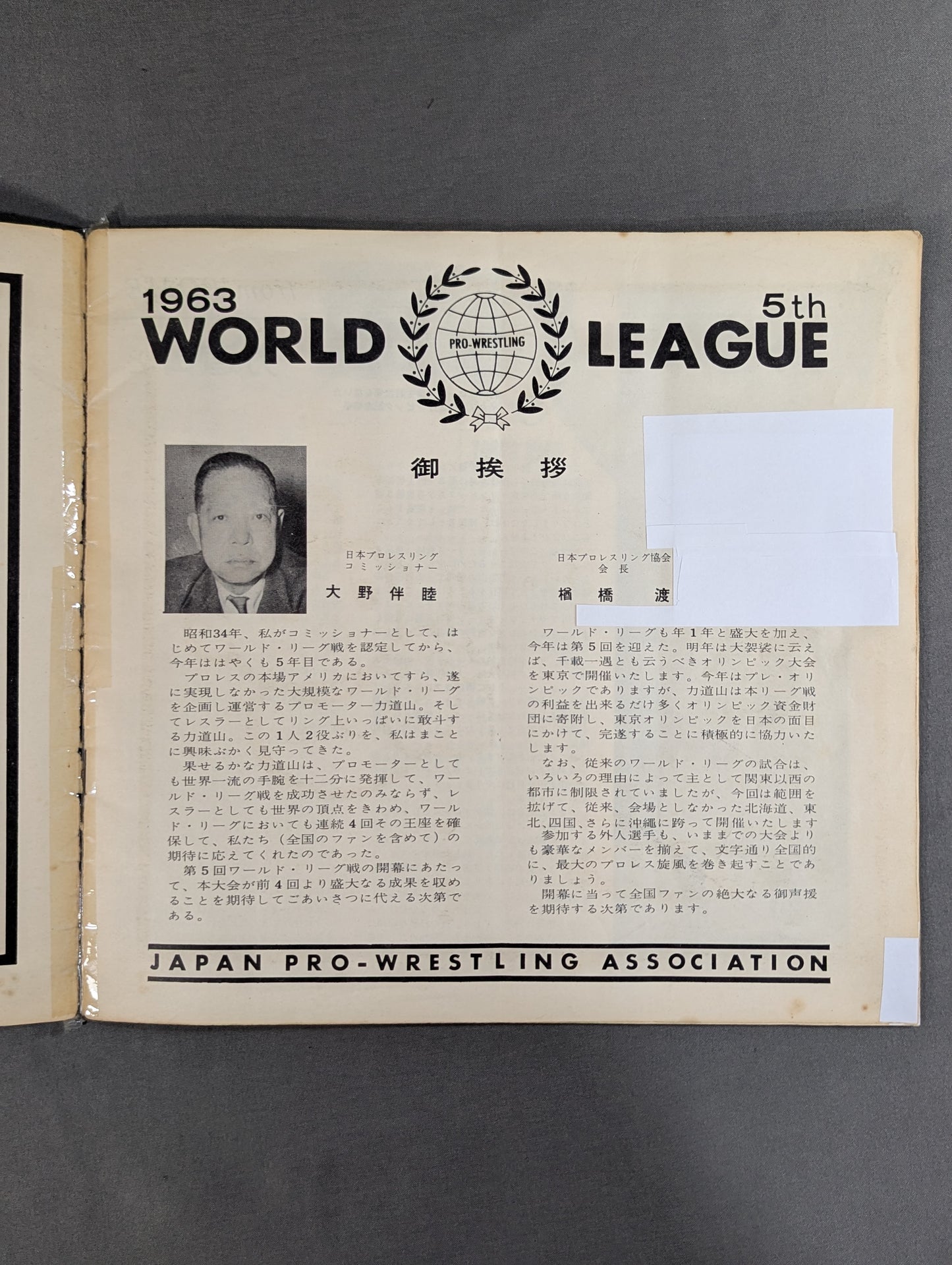 第5回ワールドリーグ戦