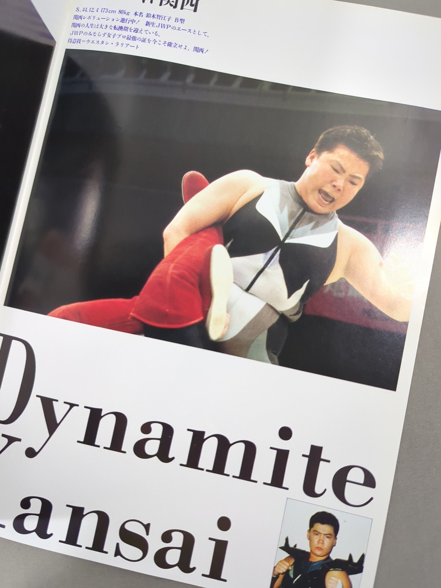 ☆旗揚げ戦☆ JWP OFFICIAL PAMPHLET Vol.1 / THE PURE HEART – 闘道館