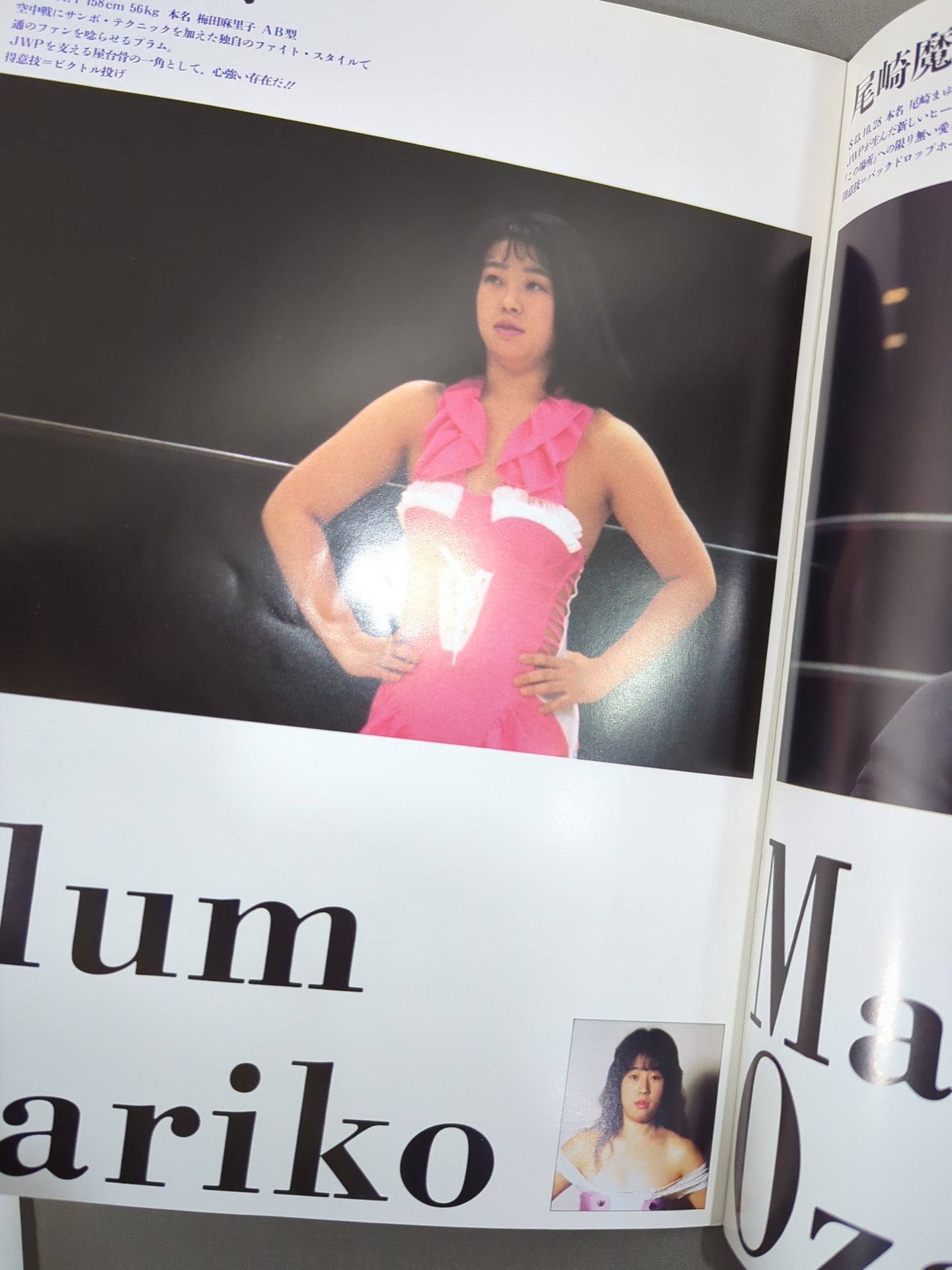 ★旗揚げ戦★ JWP OFFICIAL PAMPHLET Vol.1 / THE PURE HEART