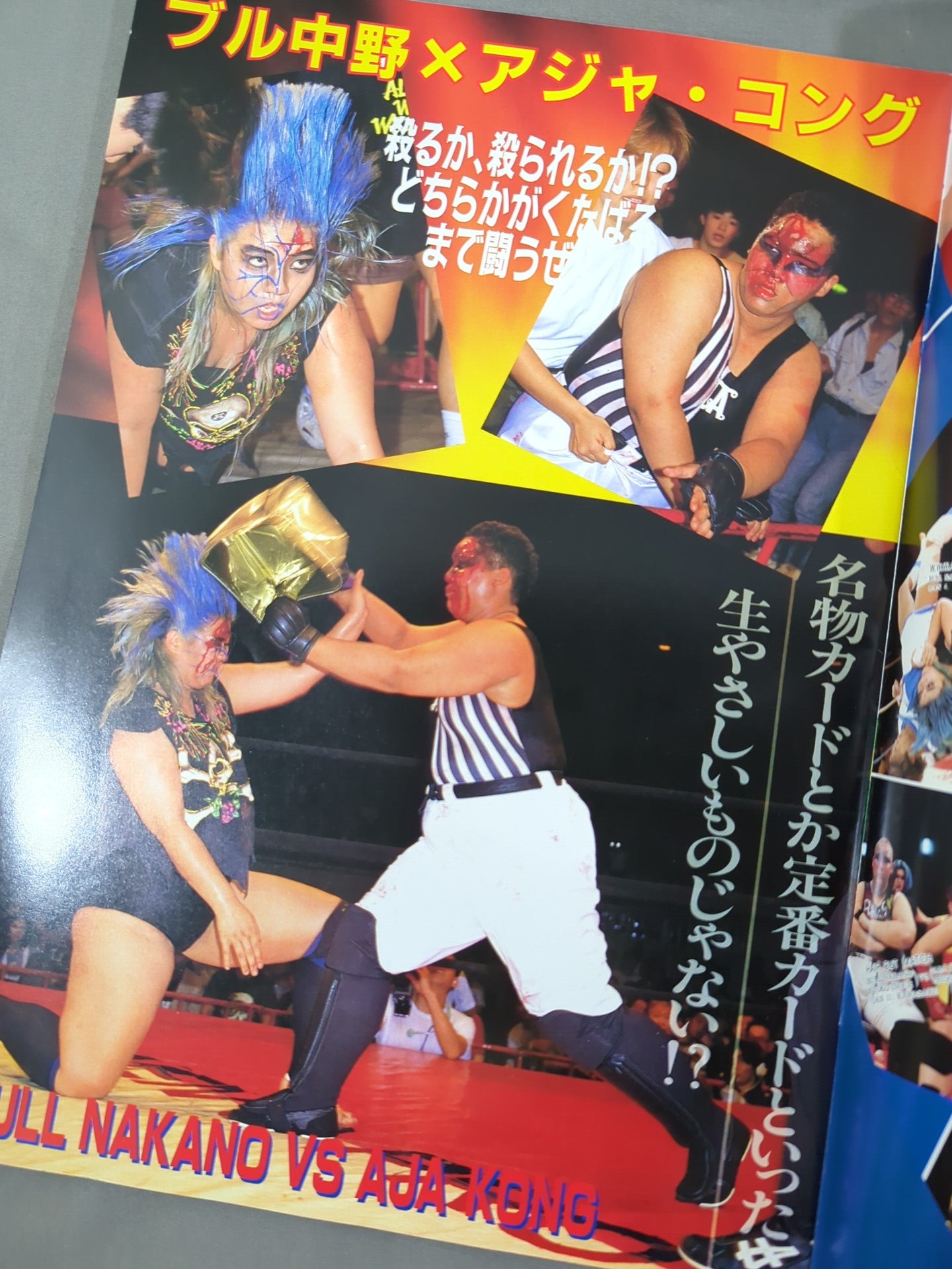 リングスターPROGRAM 1991 Vol.10