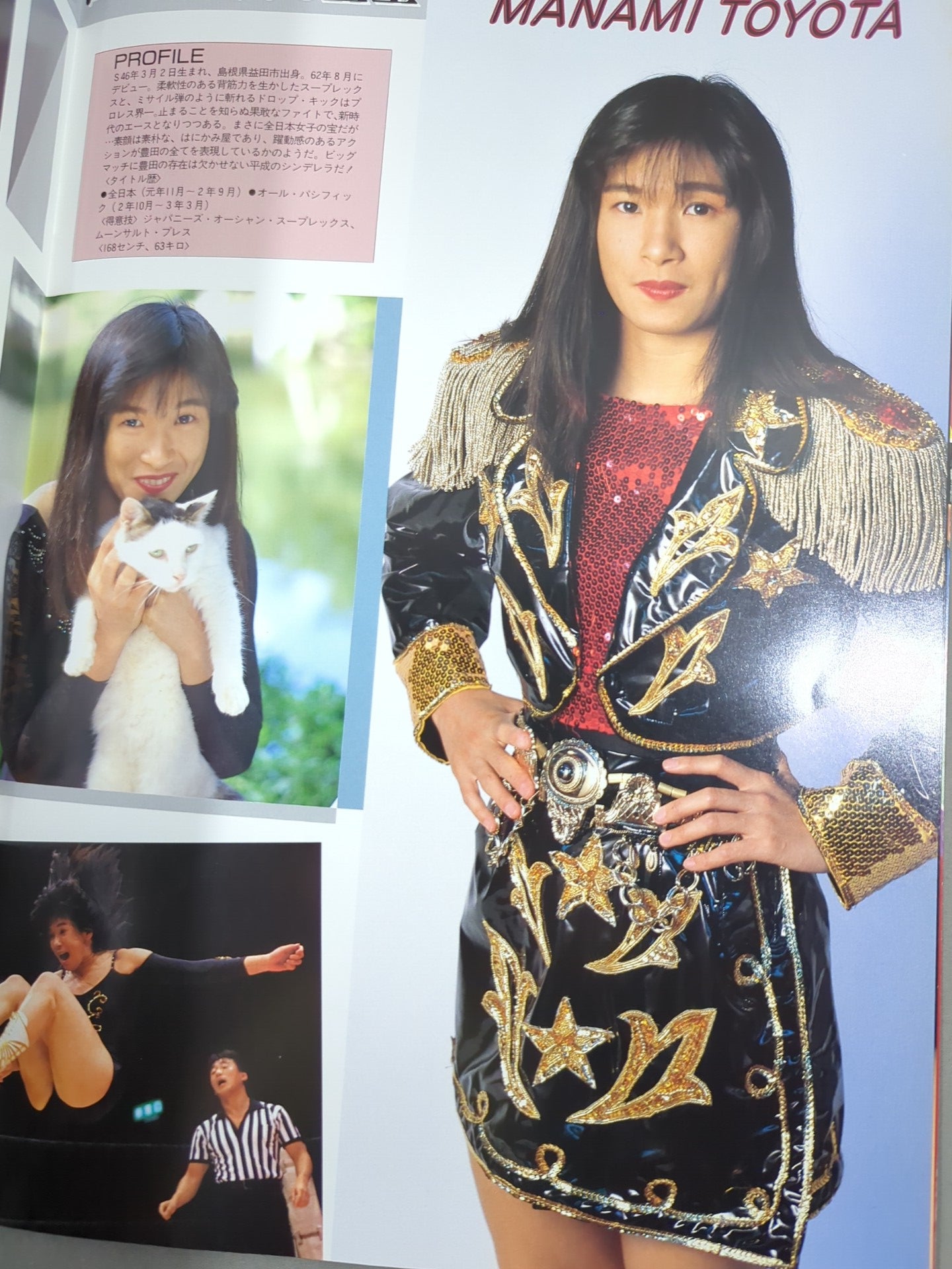 リングスターPROGRAM 1991 Vol.10