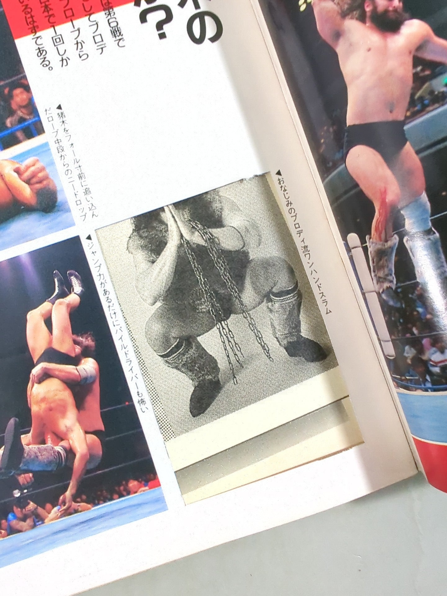 プロレスアルバム63 大激闘! 闘魂vs超獣 – 闘道館