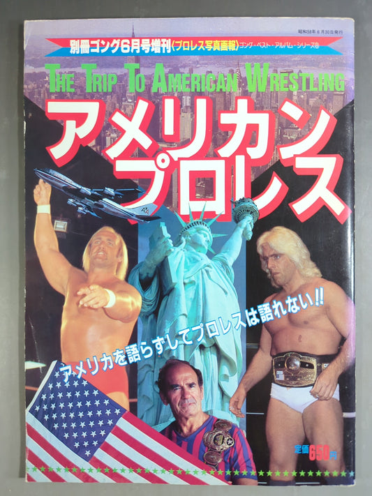 Gong Extra Issue American Pro Wrestling ~Gong Best Album Series (8)~